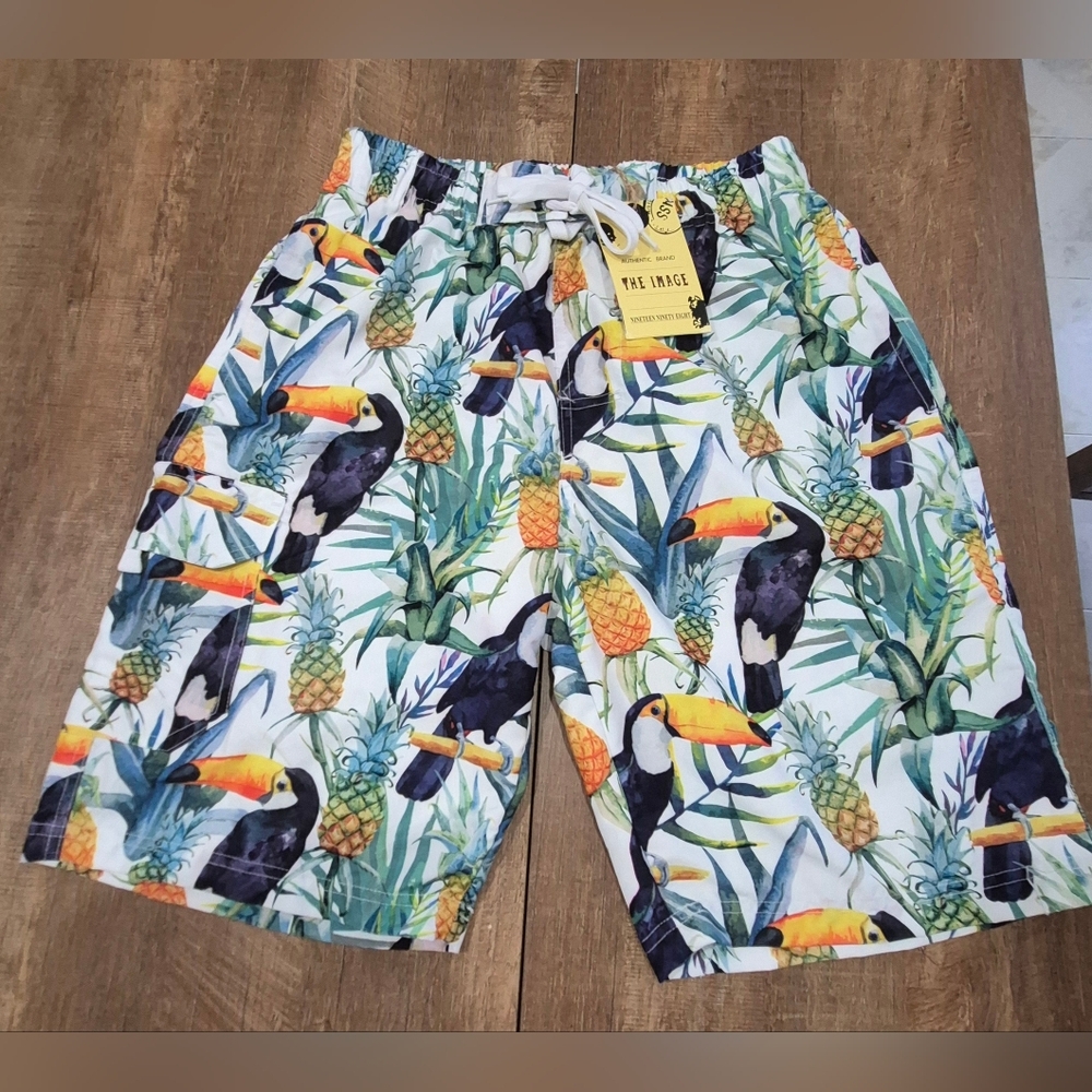 The Image Mens Board/ Swim Shorts